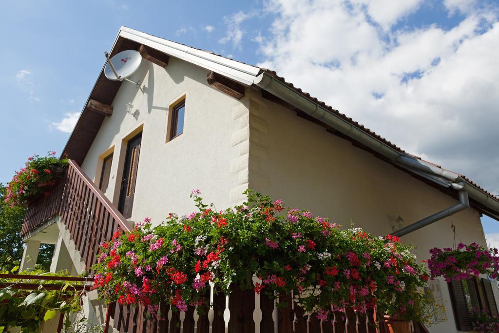 Apartment Ines Smoljanac Εξωτερικό φωτογραφία